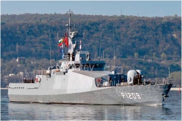 P-1209