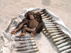 Хотите третью?