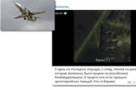 Thumbnail for the post titled: С турецких позиций выпустили ракету
